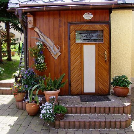Ferienhaus Erzgebirge "An Der Trebe" Mit Kamin Und Sauna Neuhausen  Chambre photo