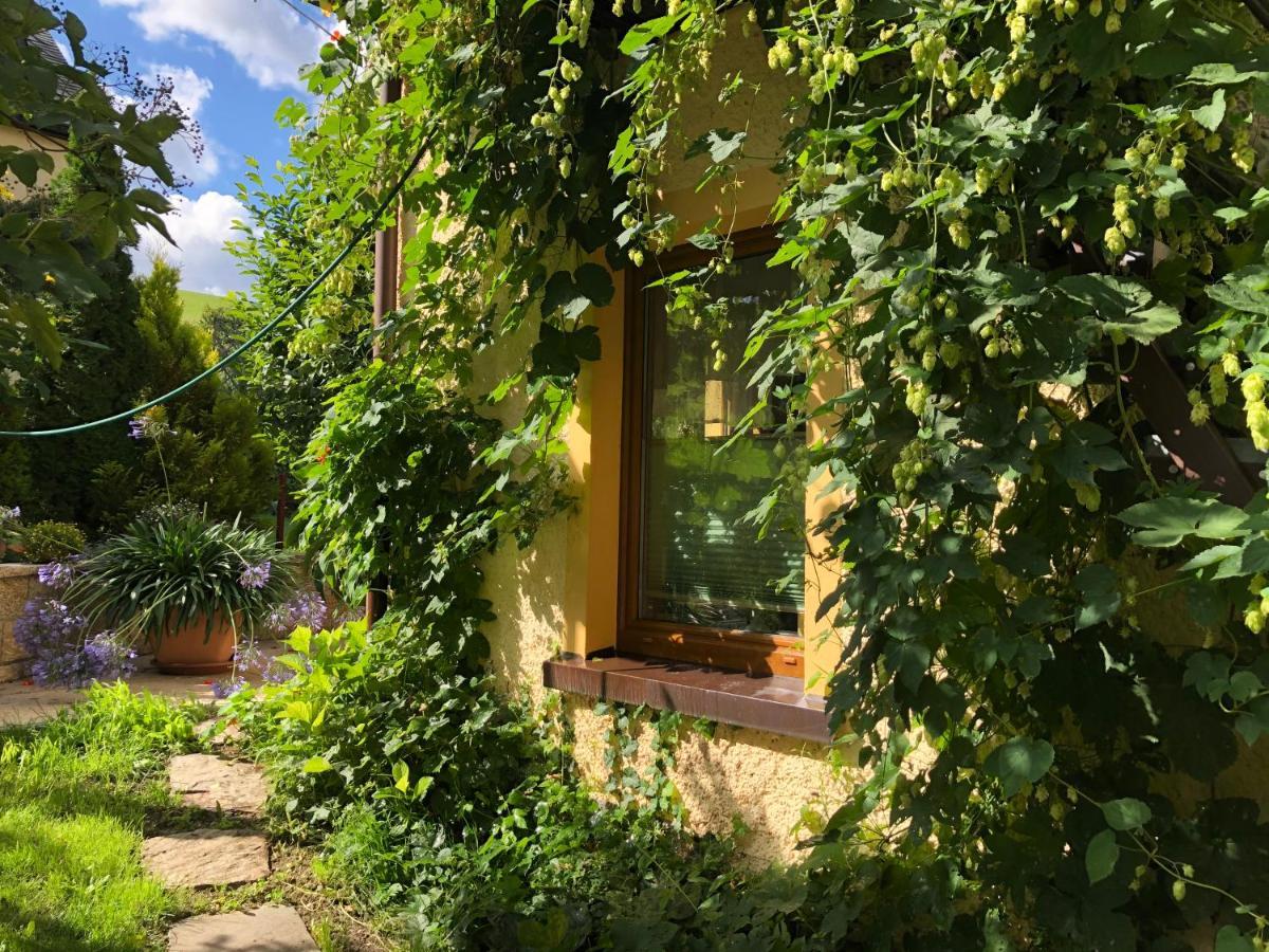 Ferienhaus Erzgebirge "An Der Trebe" Mit Kamin Und Sauna Neuhausen  Extérieur photo