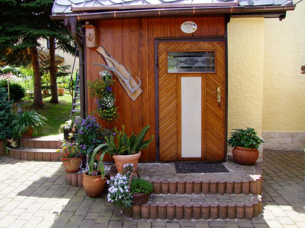 Ferienhaus Erzgebirge "An Der Trebe" Mit Kamin Und Sauna Neuhausen  Chambre photo
