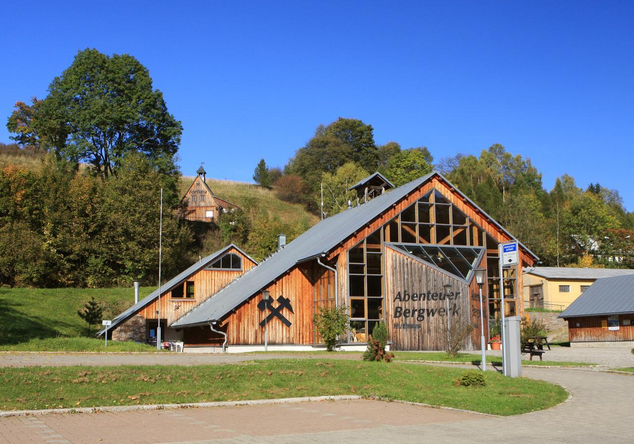 Ferienhaus Erzgebirge "An Der Trebe" Mit Kamin Und Sauna Neuhausen  Extérieur photo
