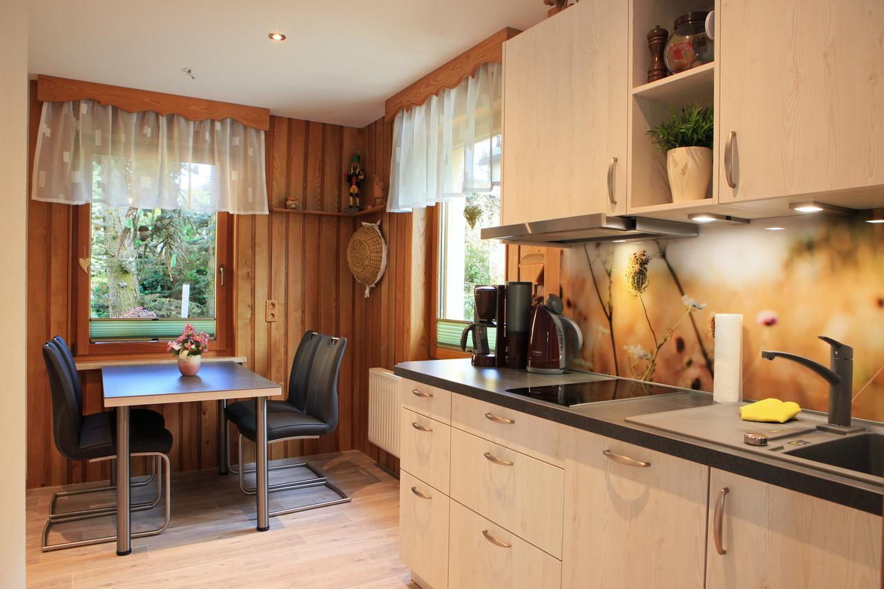 Ferienhaus Erzgebirge "An Der Trebe" Mit Kamin Und Sauna Neuhausen  Extérieur photo